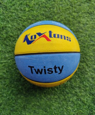 TWISTY BASKET BALL
