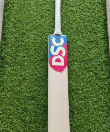 DSC INTENSE XHALE (6) ENLIGH WILLOW